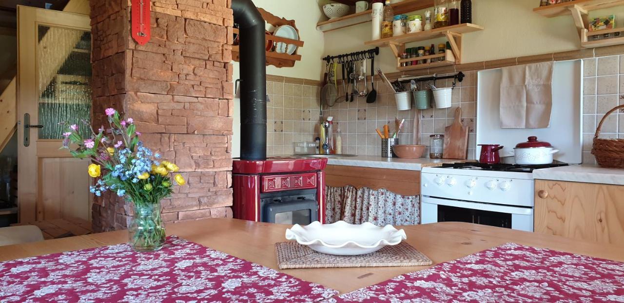 Mountain Eco Chalet Konjska Dolina On 1400 M Asl -Near Pokljuka Srednja Vas v Bohinju Exteriör bild