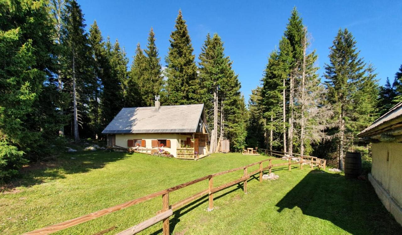 Mountain Eco Chalet Konjska Dolina On 1400 M Asl -Near Pokljuka Srednja Vas v Bohinju Exteriör bild