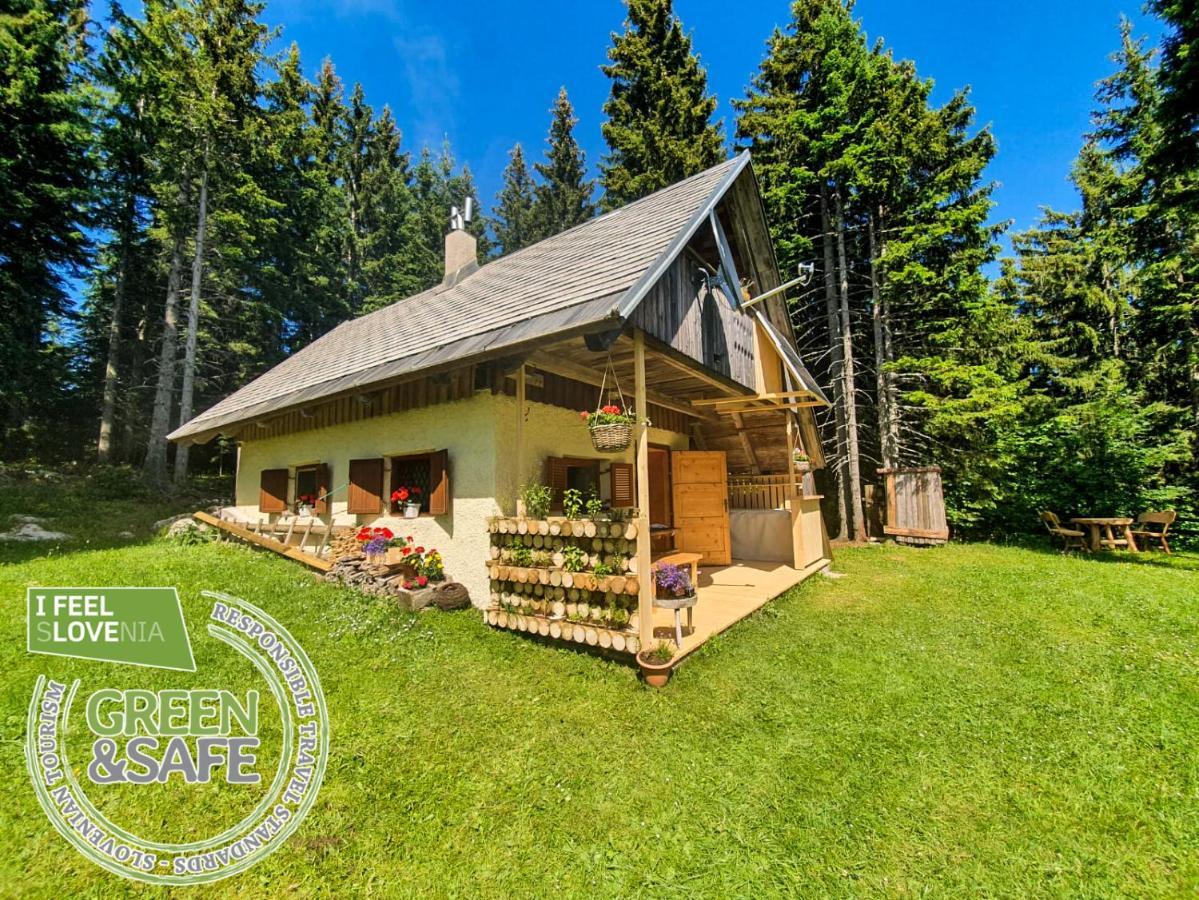 Mountain Eco Chalet Konjska Dolina On 1400 M Asl -Near Pokljuka Srednja Vas v Bohinju Exteriör bild
